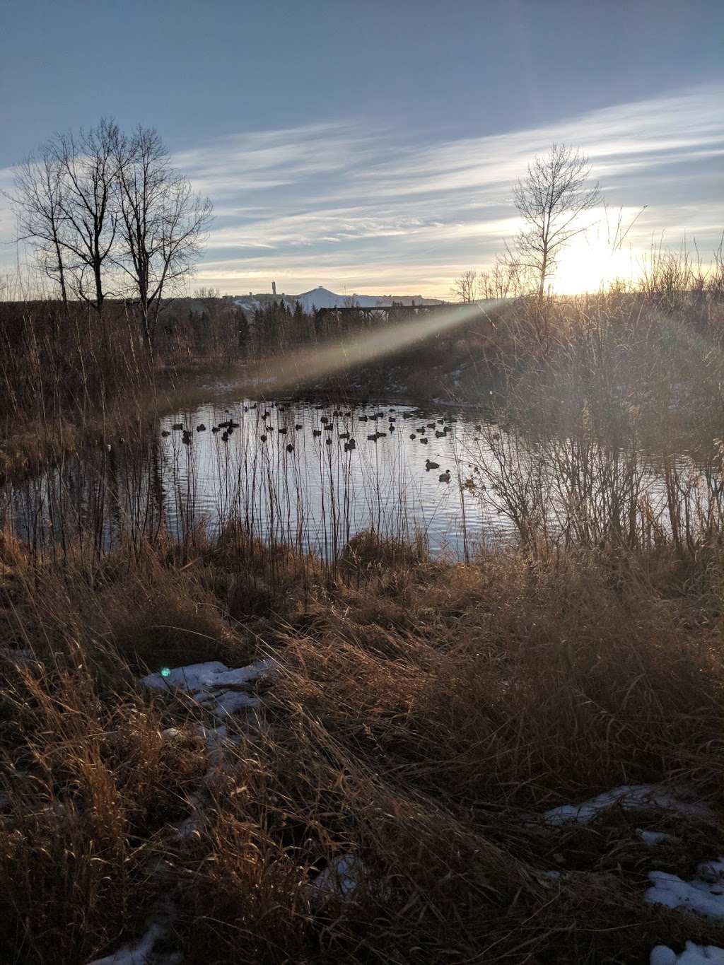 Bowmont Park | 85 St NW, Calgary, AB T3B 3P5, Canada | Phone: (403) 268-2489