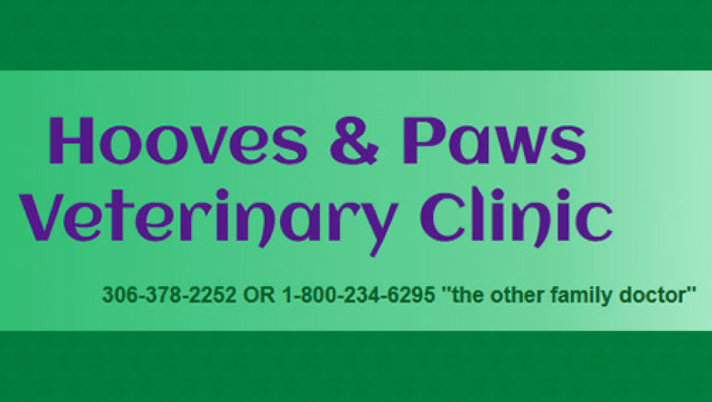 Hooves & Paws Veterinary Clinic | 116 Main St, Elrose, SK S0L 0Z0, Canada | Phone: (306) 378-2252