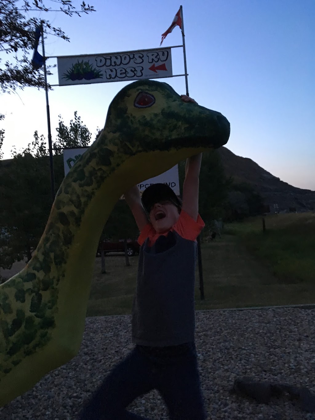 Dinos Rv Nest | 550 N Dinosaur Trail, Drumheller, AB T0J 0Y1, Canada | Phone: (403) 823-3288