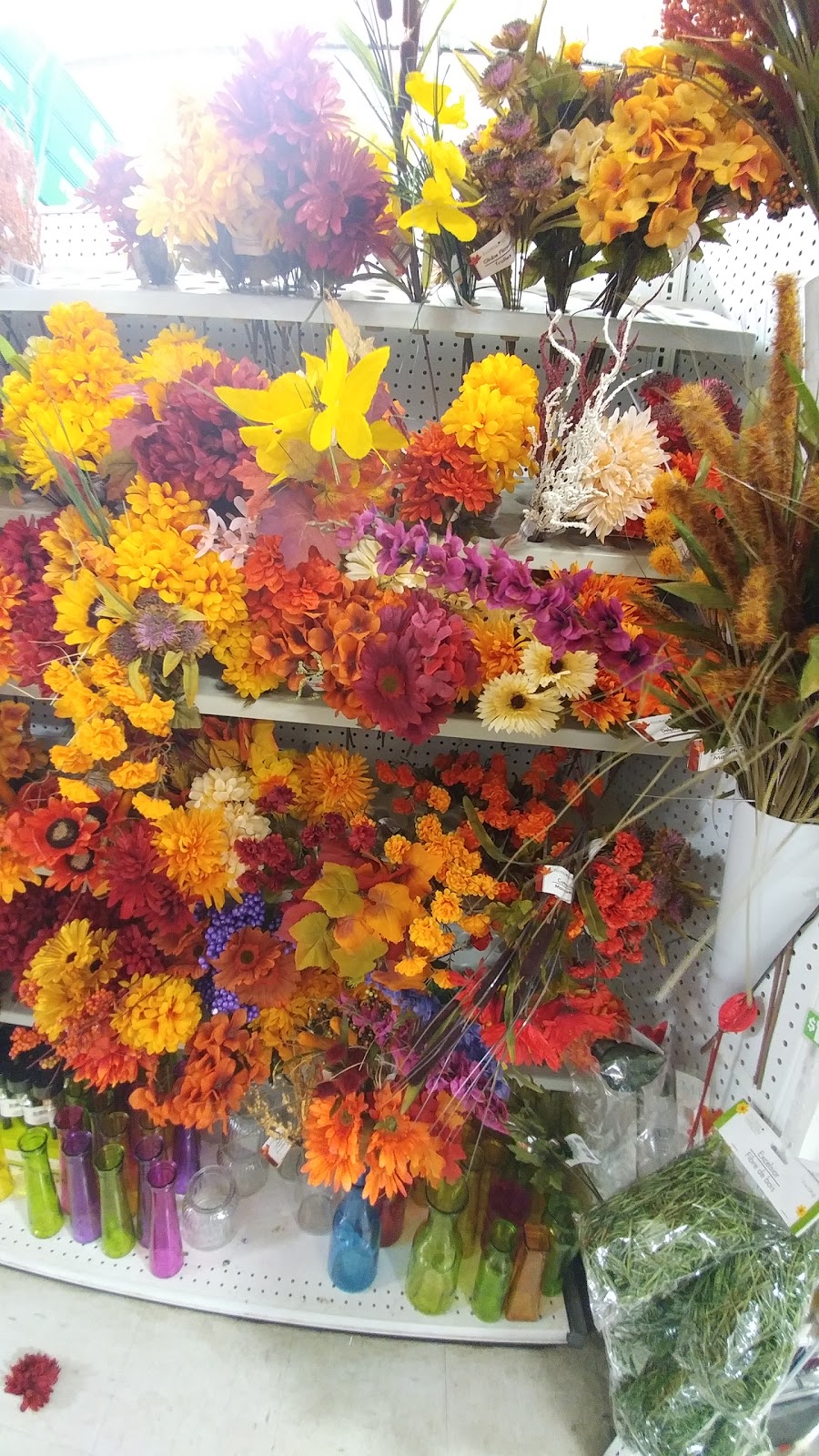 Dollar Tree | 820-3803 Calgary Trail NW, Edmonton, AB T6J 5M8, Canada | Phone: (780) 485-2800