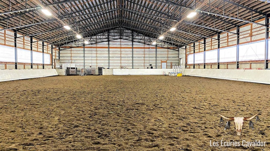 Les Écuries Cavaldor | 1587 11e Rang, Wickham, QC J0C 1S0, Canada | Phone: (819) 471-7521