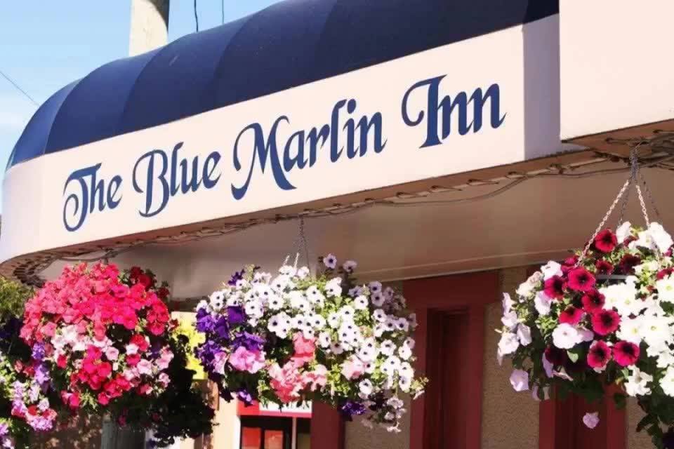 Blue Marlin Inn | 5022 Johnston Rd, Port Alberni, BC V9Y 5L7, Canada | Phone: (778) 421-3022