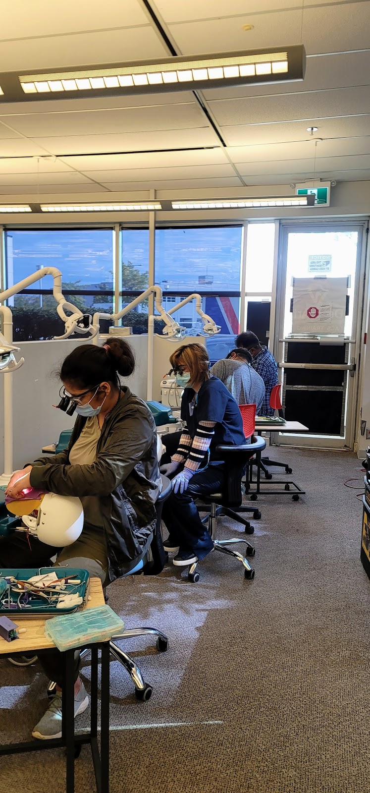 Dent Art Training Academy Inc | 800 Carleton Ct #101D, Delta, BC V3M 6Y6, Canada | Phone: (604) 773-4878