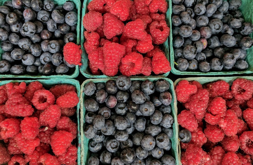 Barbies Berries Seasonal Berry Stand | 7720, 7655 Melody Ln, Ferndale, WA 98248, USA | Phone: (360) 384-1260