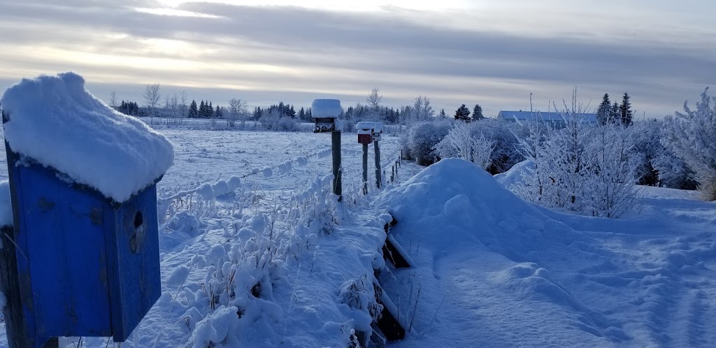Wagons West RV Park & Storage | 103 5446 Hwy 584, Sundre, AB T0M 1X0, Canada | Phone: (403) 638-4402