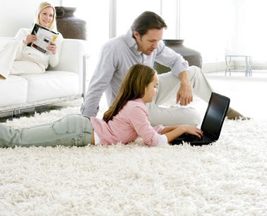 Citrus-O Carpet Care | 3955 Quadra St, Victoria, BC V8X 1J7, Canada | Phone: (250) 891-5448