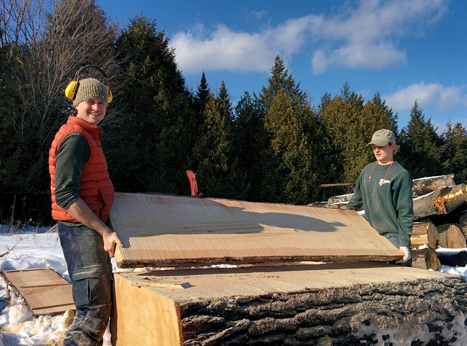 La Cime Arboriculture | 175 Rue Denis, Waterville, QC J0B 3H0, Canada | Phone: (819) 342-9242