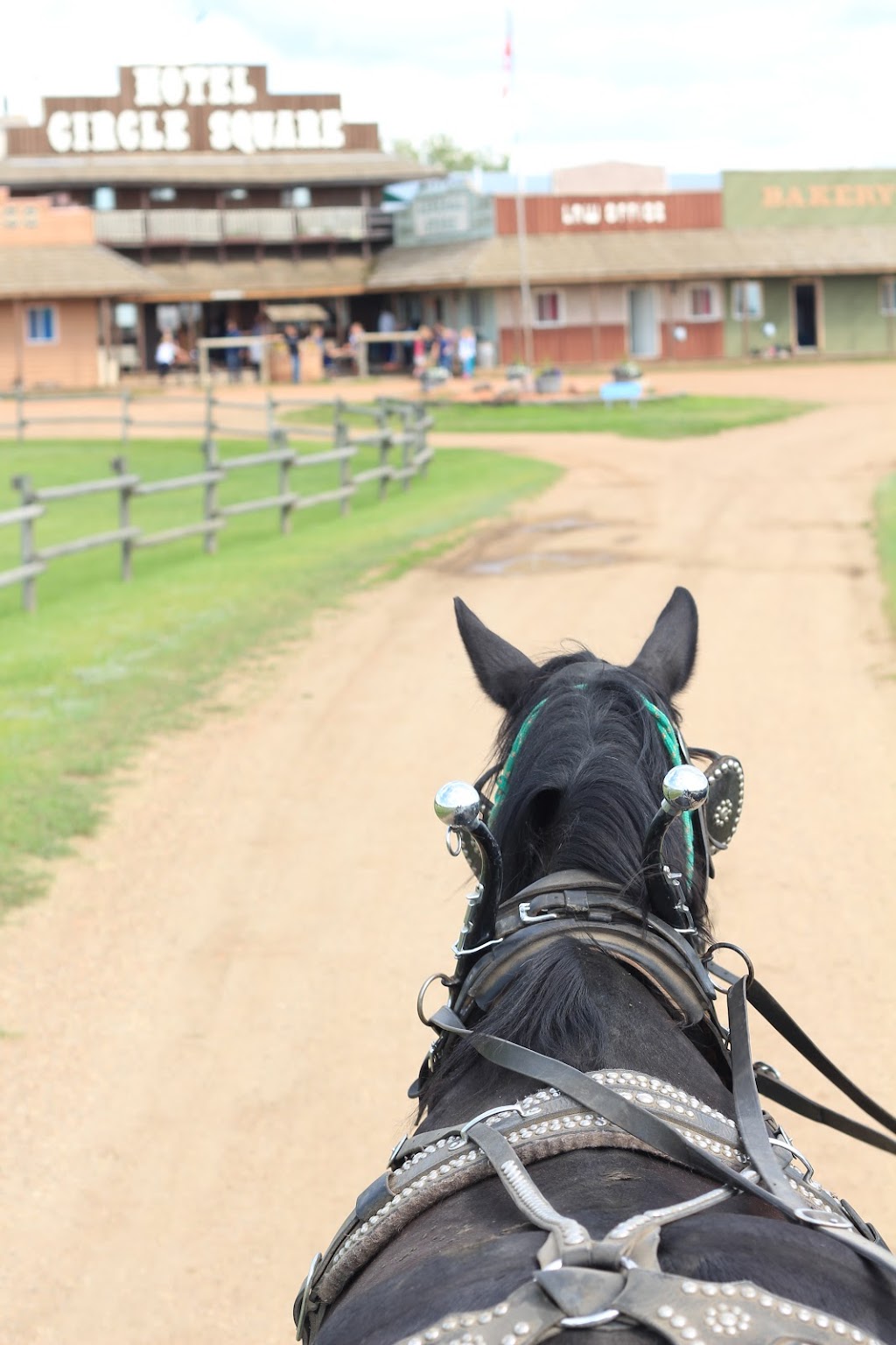 InterVarsity Circle Square Ranch Halkirk | Twp Rd 392 RR154, Halkirk, AB T0C 1M0, Canada | Phone: (403) 884-2444