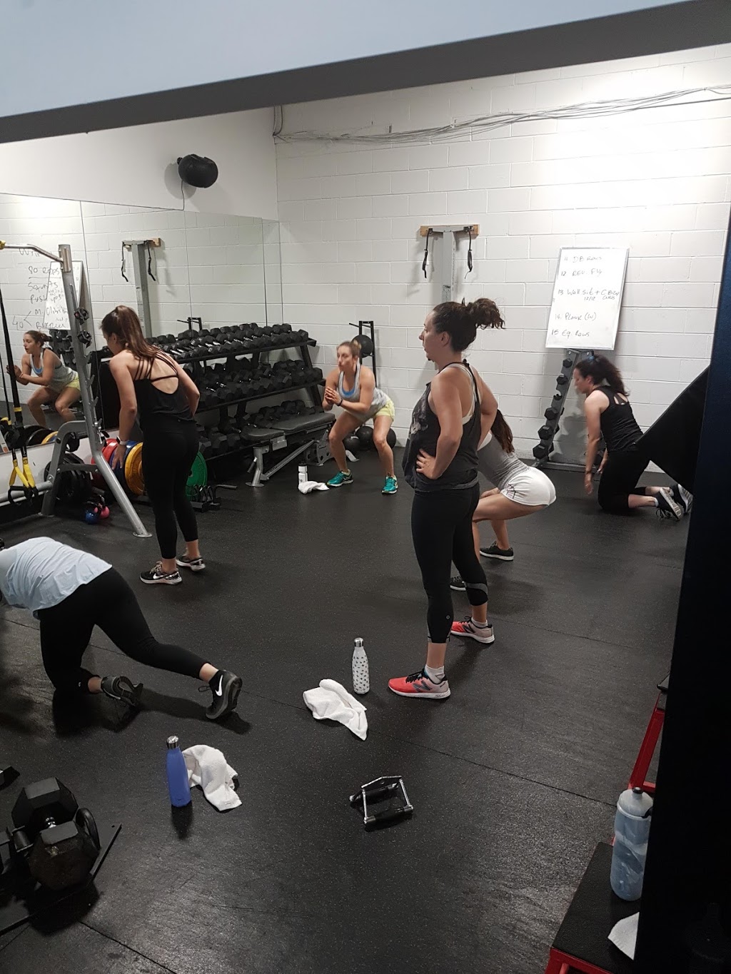Harmony Fitness | 107 Orfus Rd, North York, ON M6A 1M4, Canada | Phone: (647) 352-1212