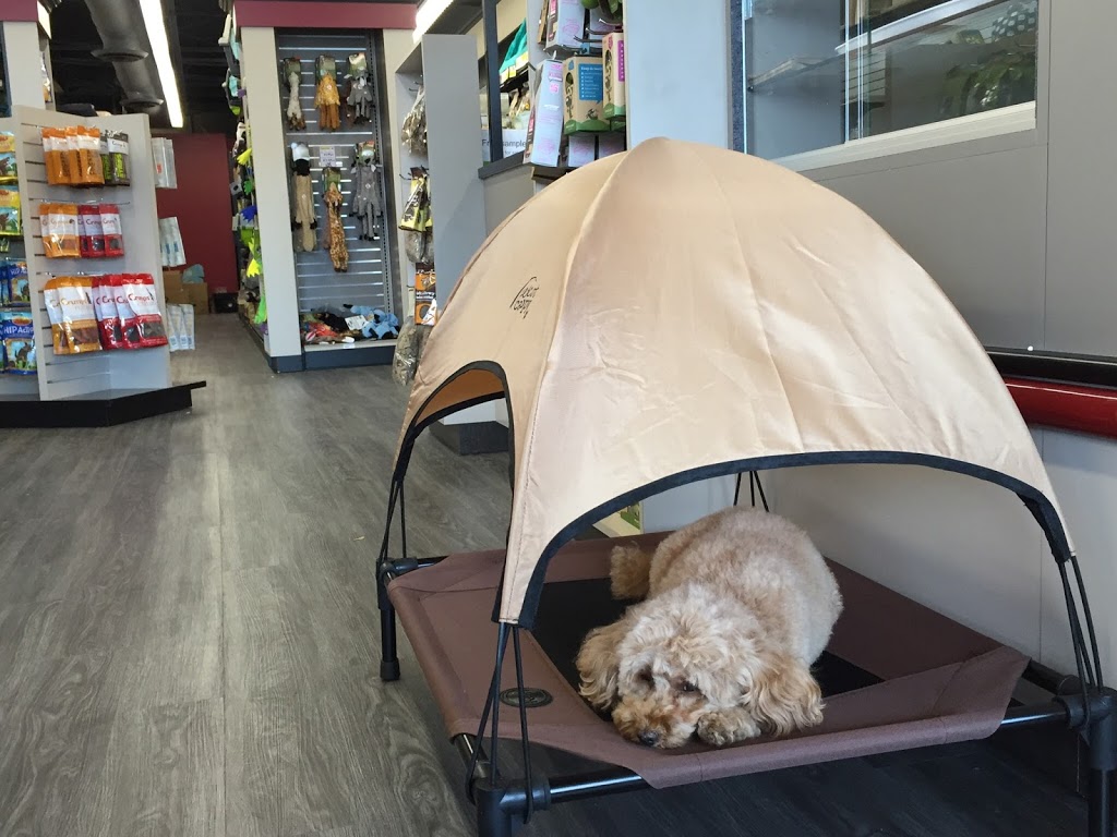 Global Pet Foods | 14800 Yonge St Unit 153, Aurora, ON L4G 1N3, Canada | Phone: (905) 727-3448