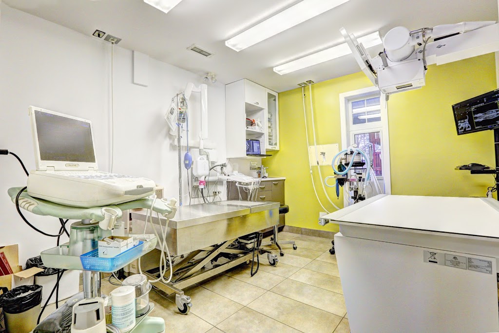 Hôpital vétérinaire Mont St-Hilaire | 455 Chemin Ozias-Leduc, Otterburn Park, QC J3H 4A7, Canada | Phone: (450) 464-6709