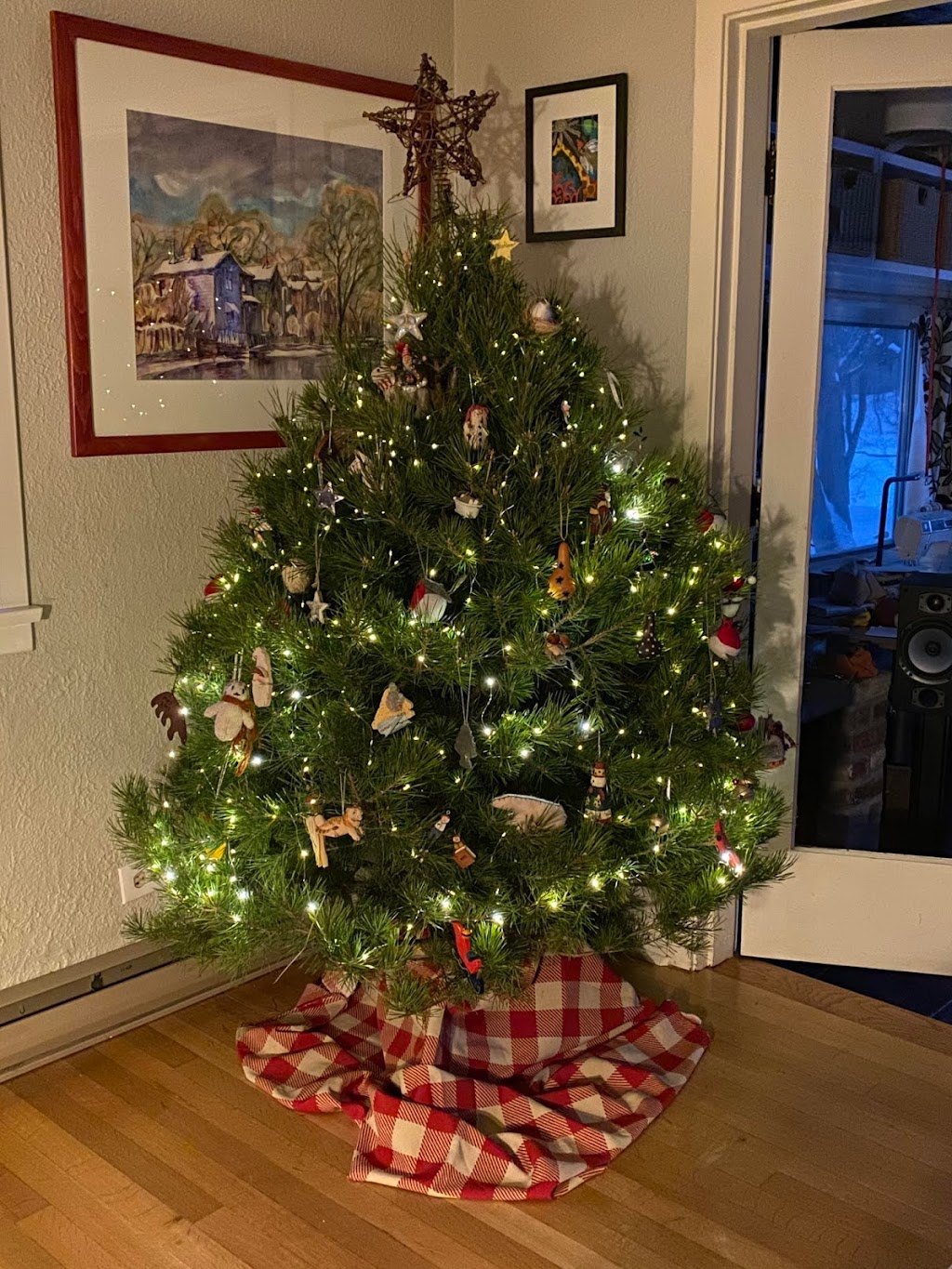 Hill Haven Christmas Trees | Jackson Lake Provincial Rd. 352 South East on Rural Rd. 59 North Gate number 58142 NE28, 10 12W, Sidney, MB R0H 1L0, Canada | Phone: (204) 466-2654