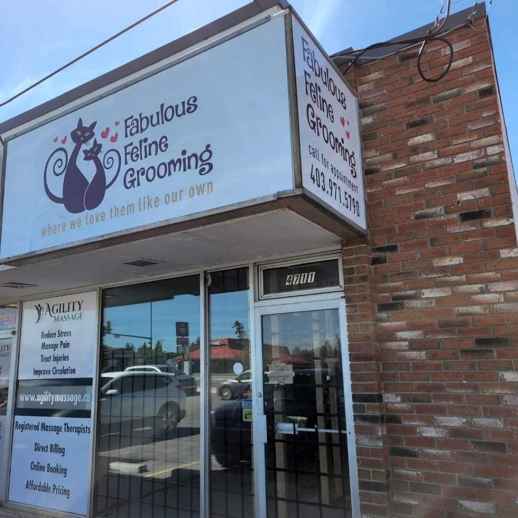 Fabulous Feline Grooming | 4711 17 Ave SE, Calgary, AB T2A 0T9, Canada | Phone: (403) 971-5790