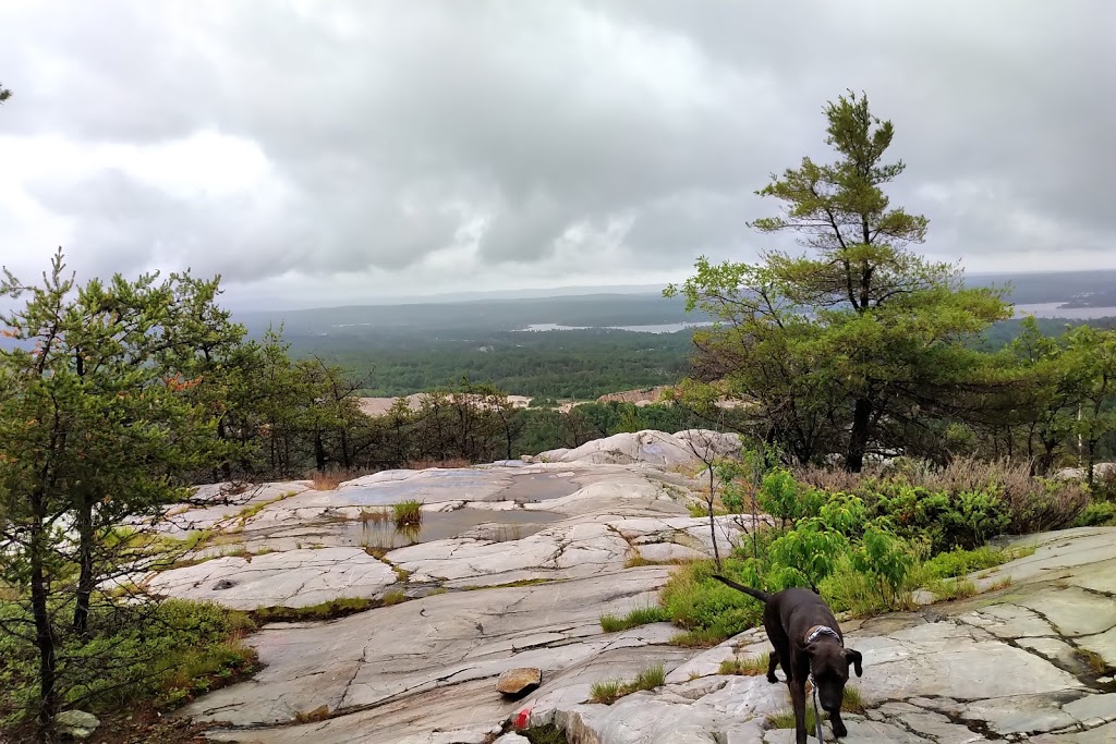 Willisville Hiking Trail | Willisville Rd, Sudbury, Unorganized, North Part, ON P0P, Canada | Phone: (416) 960-8121