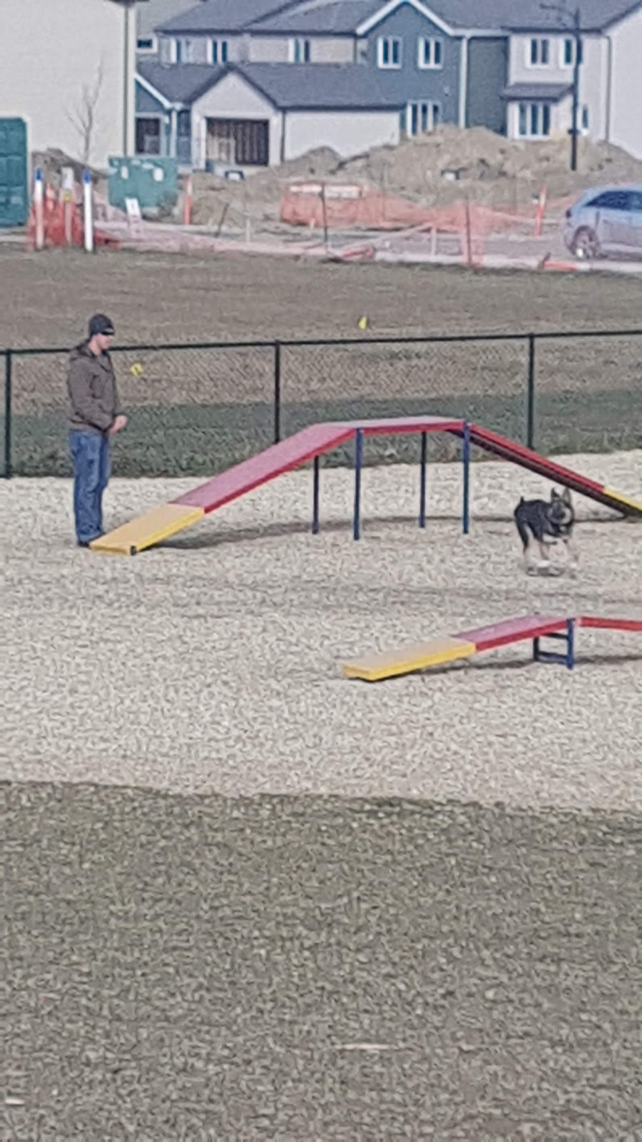 Paisley Dog Park | 3051 Paisley Green SW, Edmonton, AB T6W 1A3, Canada