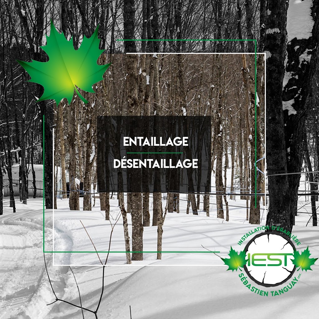 Installations d’érablière Sébastien Tanguay | 19 Rue Audet, Saint-Camille-de-Lellis, QC G0R 2S0, Canada | Phone: (418) 625-0250