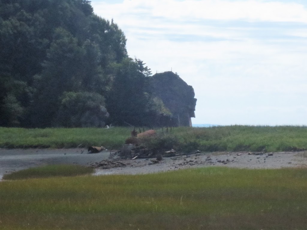 Goose Creek - UNESCO Fundy Biosphere Reserve Amazing Place | Saint Martins Parish, NB E5R, Canada | Phone: (506) 874-3272