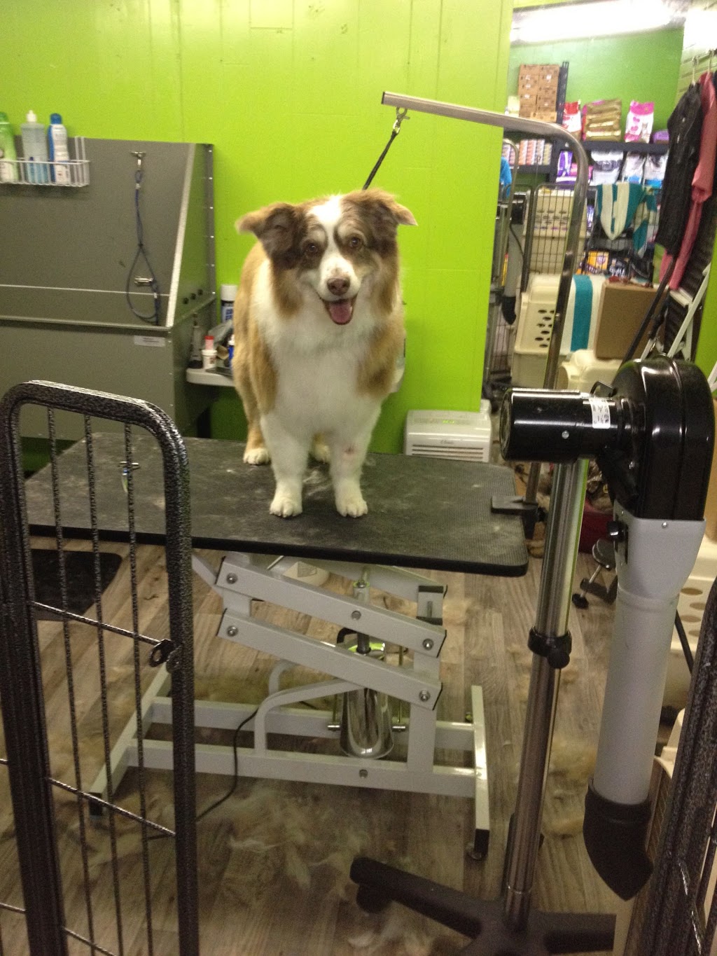 Porthos Pet Supplies & Grooming | 118 2 Ave S, Vulcan, AB T0L 2B0, Canada | Phone: (403) 423-2536