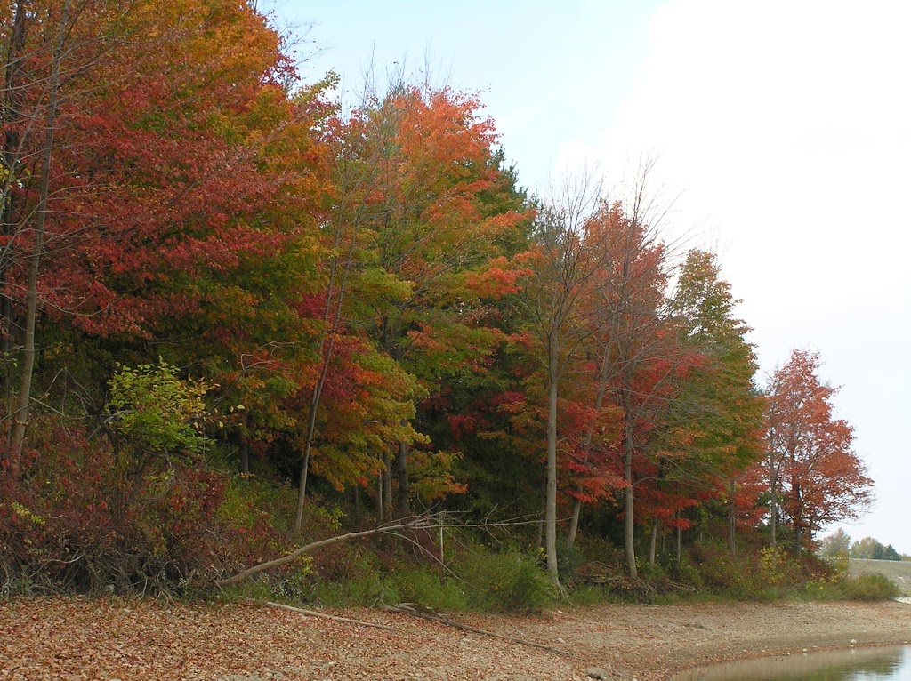 Parkhill Conservation Area | Parkhill, ON N0M 2K0, Canada | Phone: (519) 294-6121