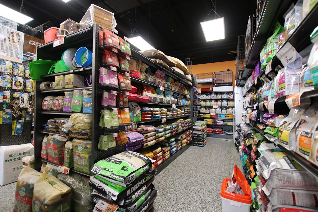 Boutique danimaux Chico Beauharnois | 534 Boulevard Cadieux, Beauharnois, QC J6N 0R5, Canada | Phone: (450) 395-0521