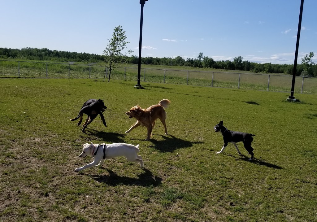 Parc Canin Saint-Amable | 355 Rue Thomas, Saint-Amable, QC J3V 6P4, Canada