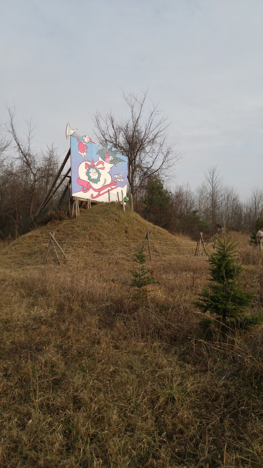 Ians Christmas Adventure Park | 804 Richmond Rd, Beckwith, ON K0A 1B0, Canada | Phone: (613) 253-0086