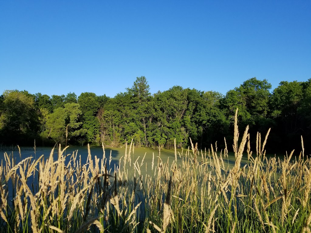 Little Lake Park | Selkirk, MB R1A 0K2, Canada