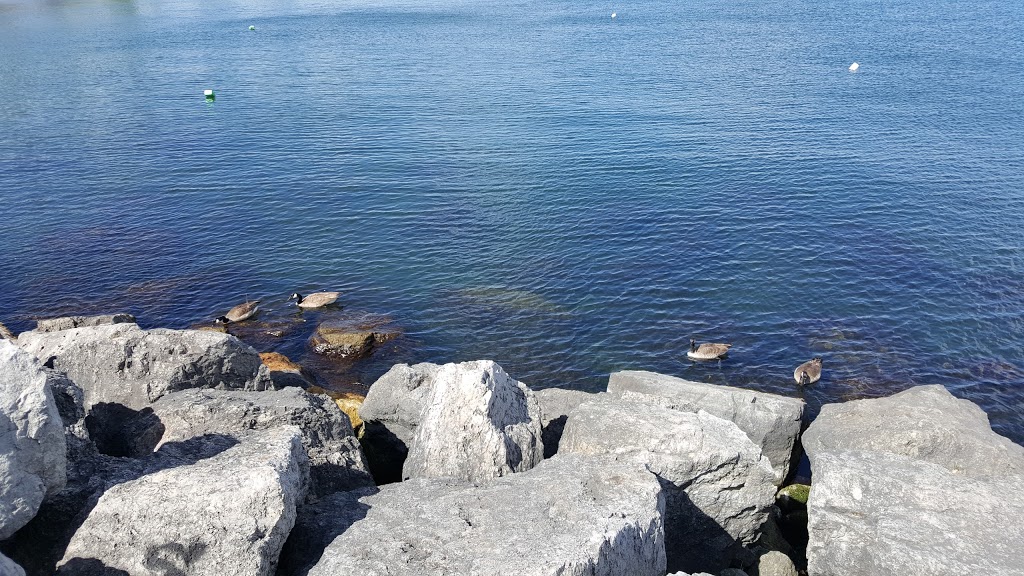 Humber Bay Park West | 2225 Lake Shore Blvd W, Etobicoke, ON M8V 3X7, Canada | Phone: (416) 392-2489