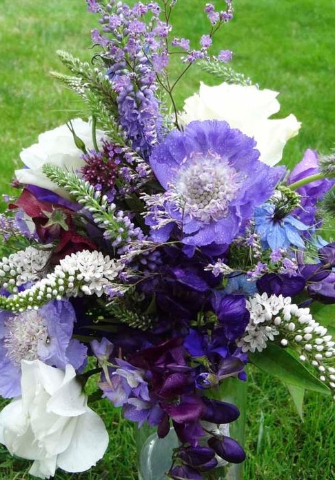 Wild Berry Farm | 75 Moon Ridge Rd, Friday Harbor, WA 98250, USA | Phone: (360) 378-4930