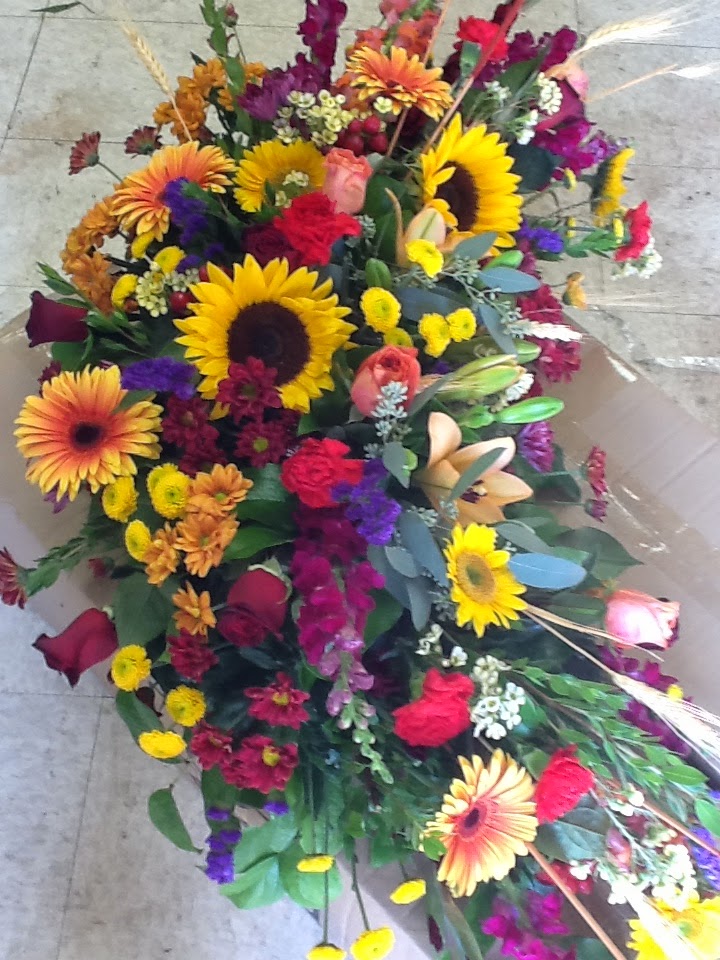 Plants & Pots | 500 Gardiners Road, Kingston, ON K7M 7W9, Canada | Phone: (613) 547-4882