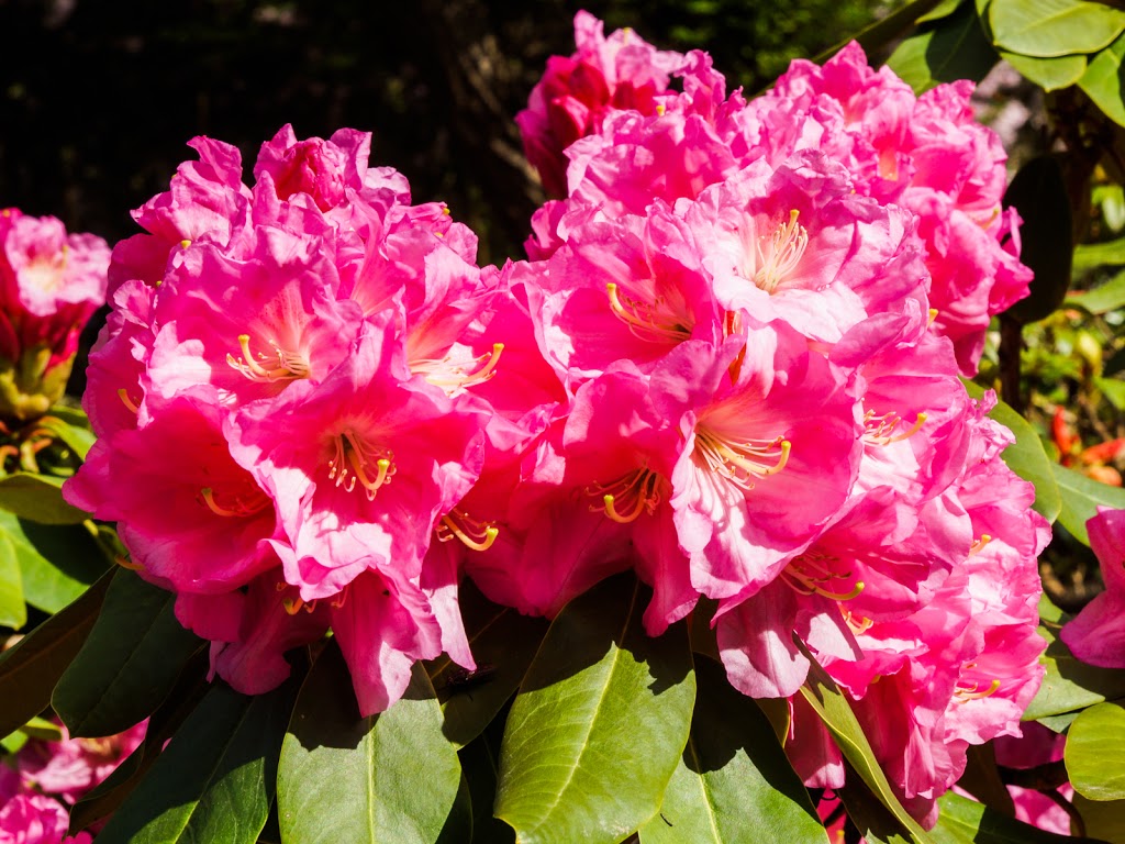 Century Gardens | Burnaby, BC V5G 2J3, Canada