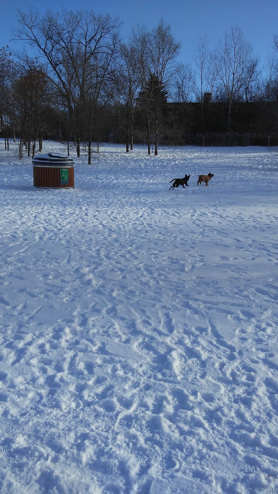 Caesars Dog Park | 941 Commissioners Rd E, London, ON N5Z 4N1, Canada | Phone: (519) 661-2500 ext. 4570