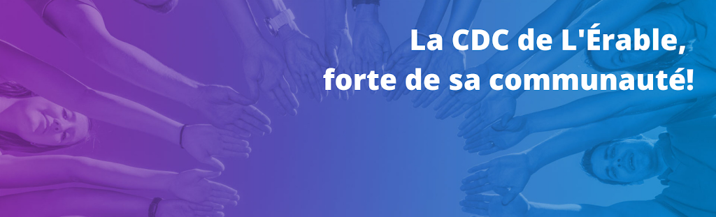 Corporation de Développement Communautaire de lÉrable inc. | 1578 Avenue St Laurent, Plessisville, QC G6L 2P6, Canada | Phone: (819) 362-3473
