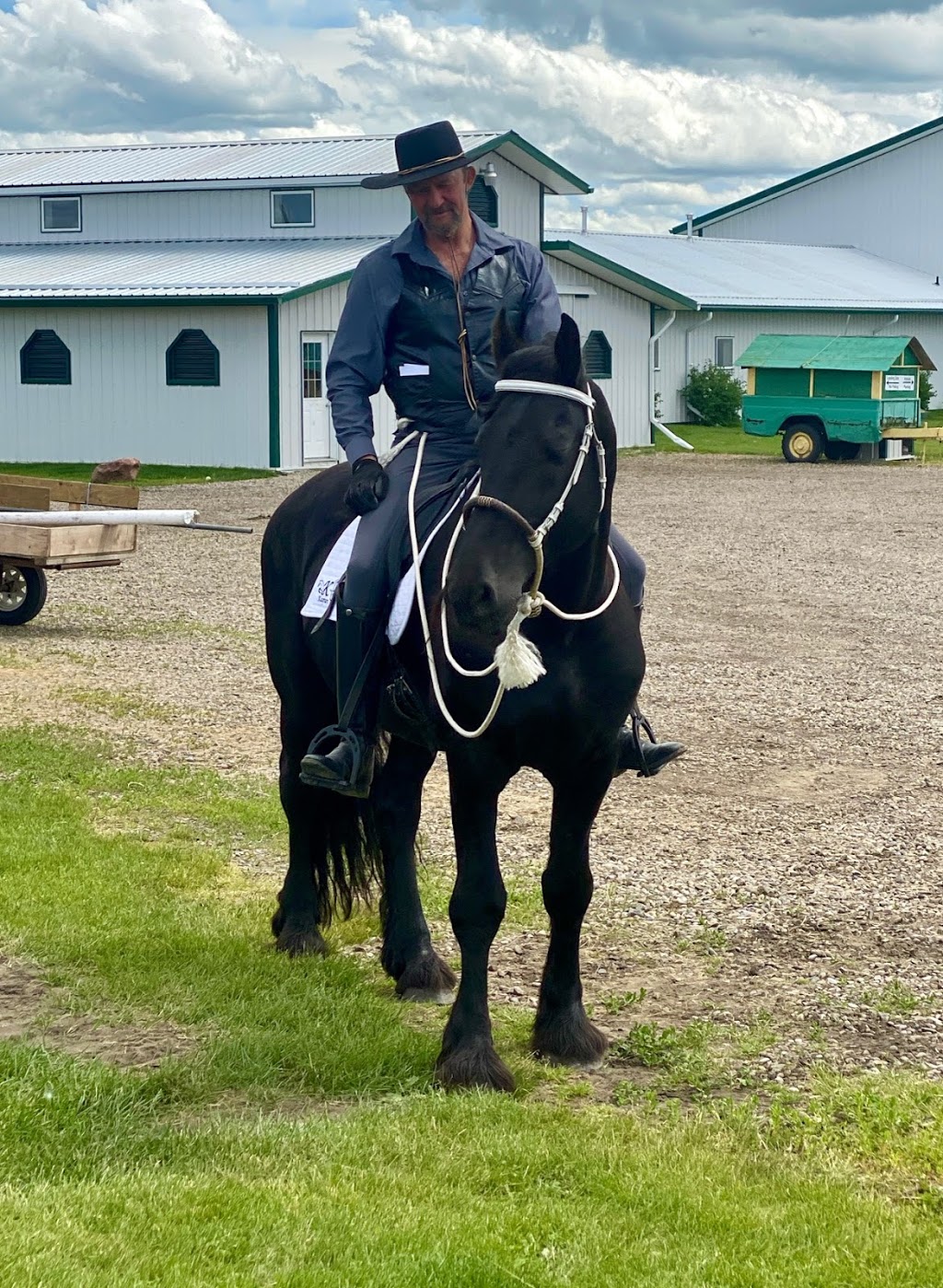 Kaspian Equestrian | Box 26 Site 7 RR3, Olds, AB T4H 1P4, Canada | Phone: (403) 556-3478