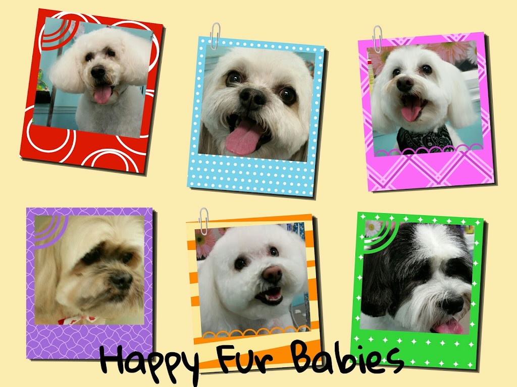 Fur Babies | 456 Vodden St E, Brampton, ON L6S 5V1, Canada | Phone: (905) 792-0428