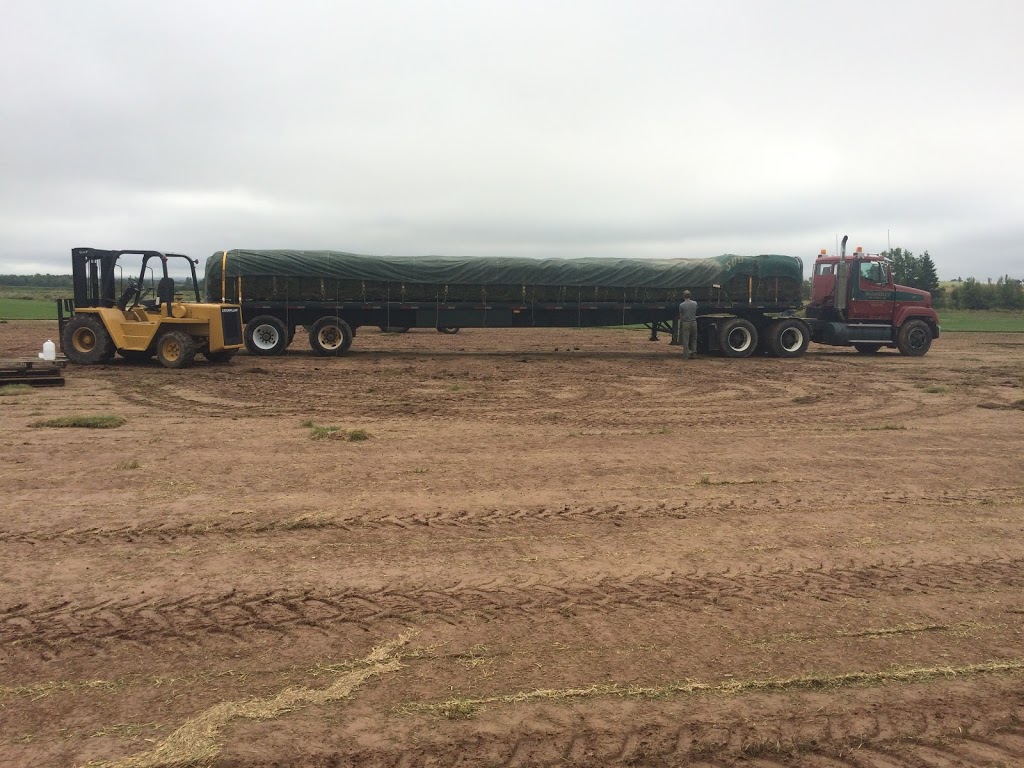 McConnells Sod Supply Ltd. | 311 Sunnyside Rd, Wolfville, NS B4P 2R2, Canada | Phone: (902) 542-2791