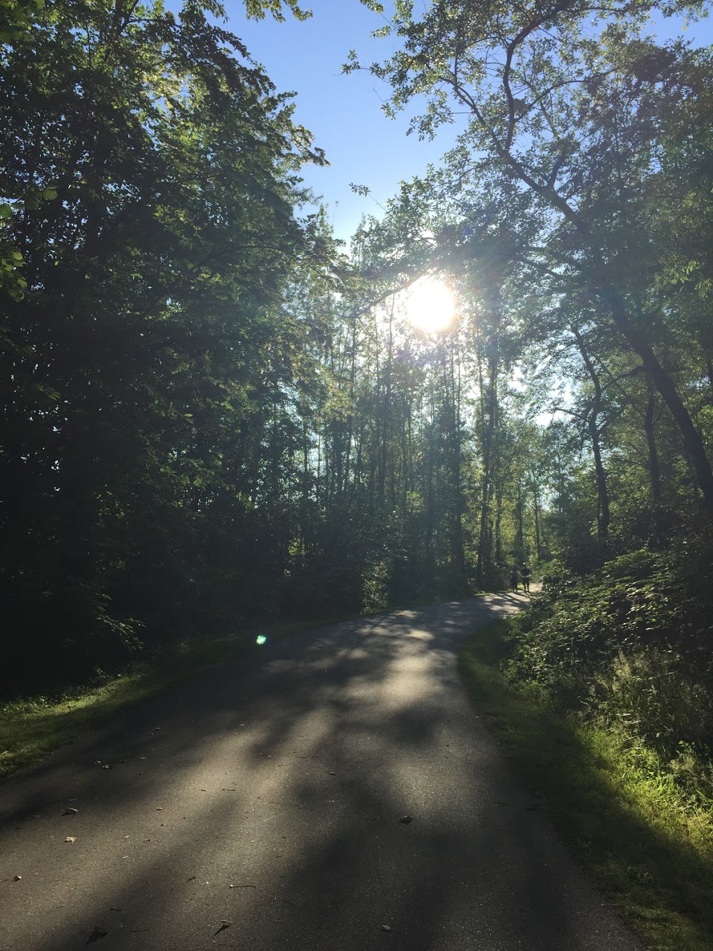 Tynehead Perimeter Trail | Tynehead Perimeter Trail, Surrey, BC V4N 6H4, Canada