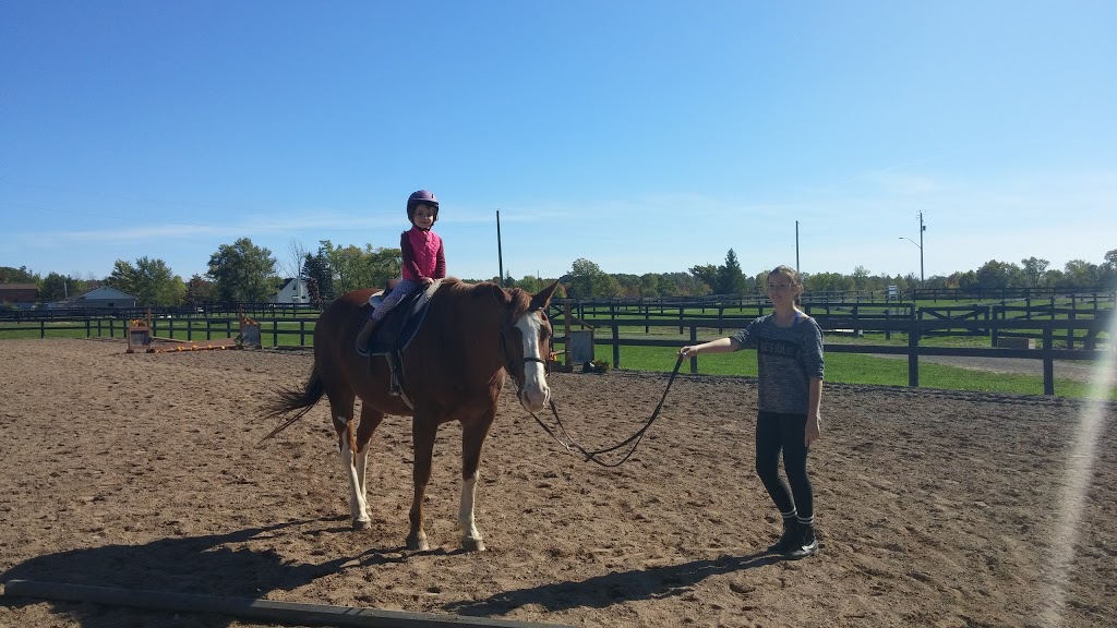 Eagle Wing Ranch | 426 Buchner Rd, Welland, ON L3B 5N4, Canada | Phone: (905) 359-0824