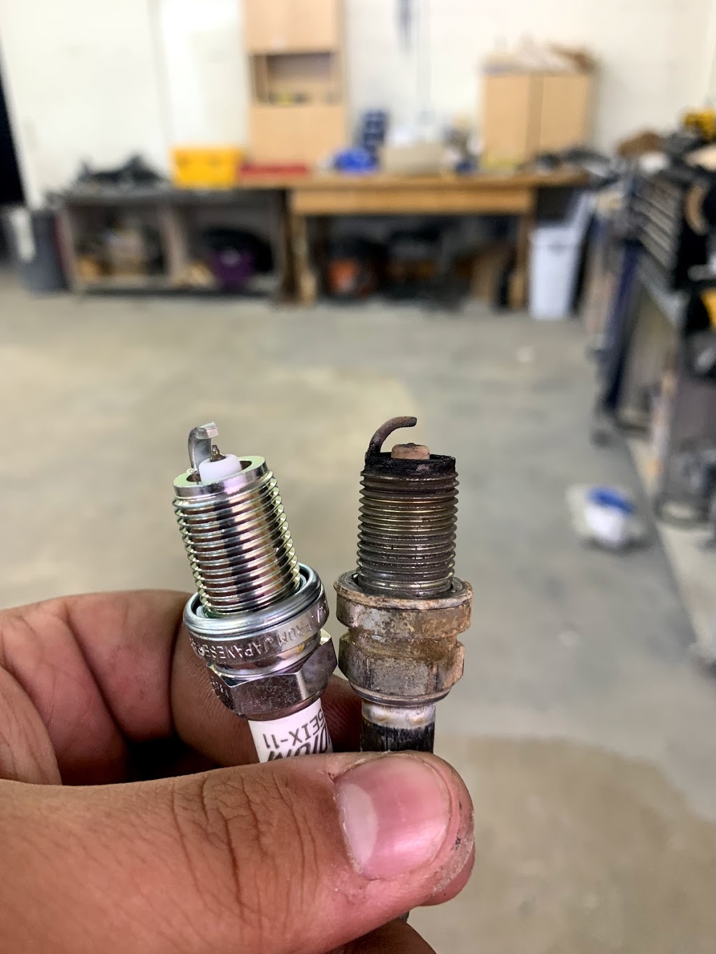 Boxer Performance Canada | 42 Speers Rd, Winnipeg, MB R2J 1M3, Canada | Phone: (204) 557-7949