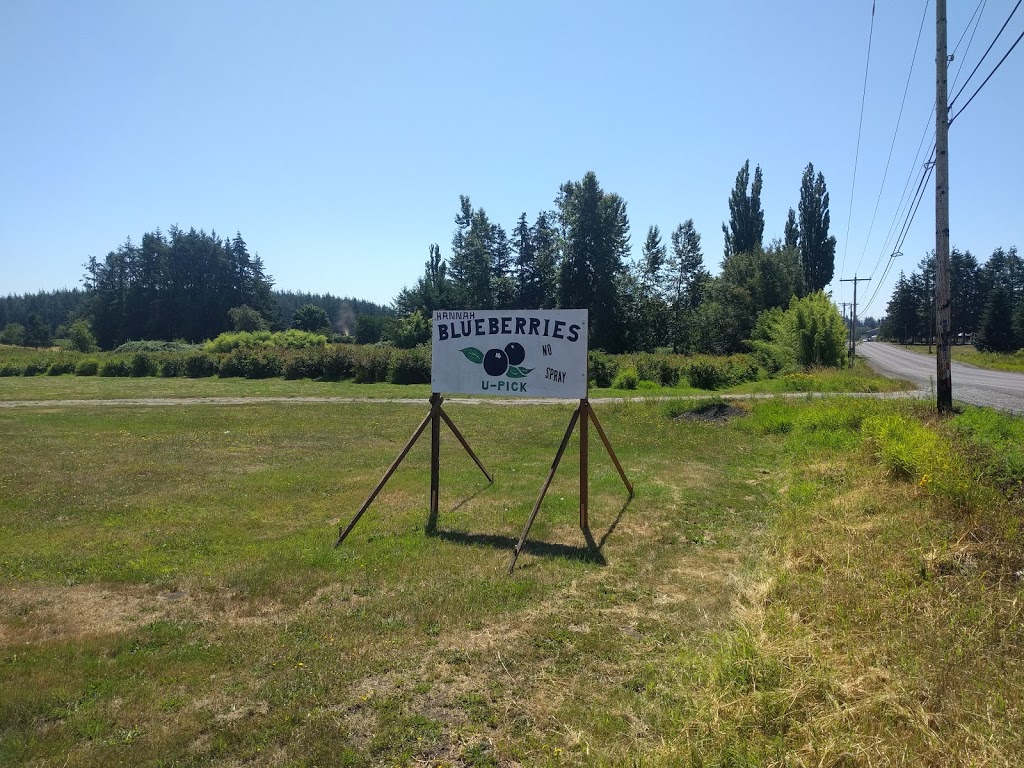 Hannah Blueberries | 7892 Enterprise Rd, Ferndale, WA 98248, USA | Phone: (360) 366-1070