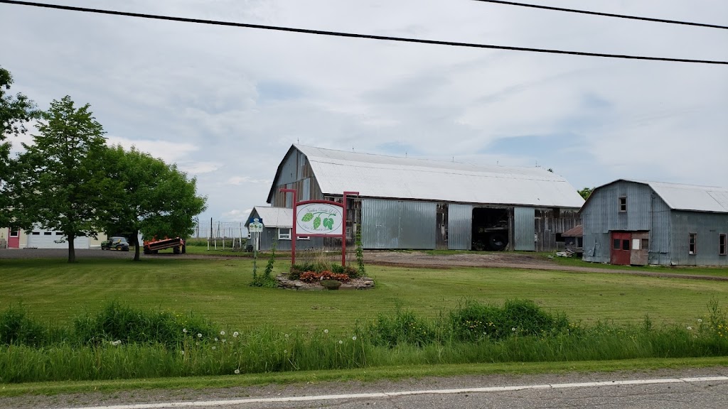 Houblon Double L.L | 1353 Rang St Charles, Saint-Édouard-de-Lotbinière, QC G0S 1Y0, Canada | Phone: (581) 581-2380