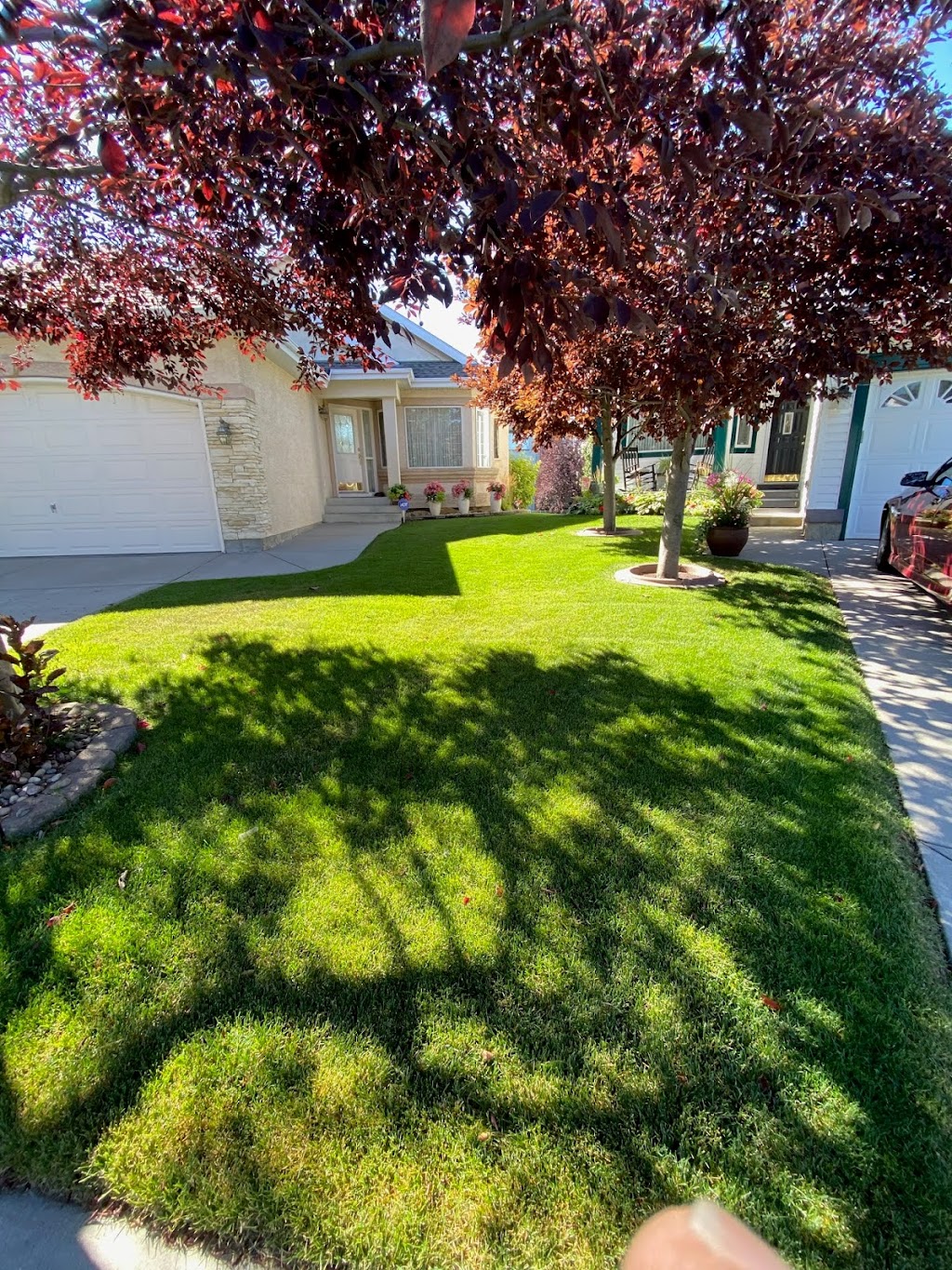 The Green Effect | 105 Somerside Green SW, Calgary, AB T2Y 3G6, Canada | Phone: (403) 863-0130