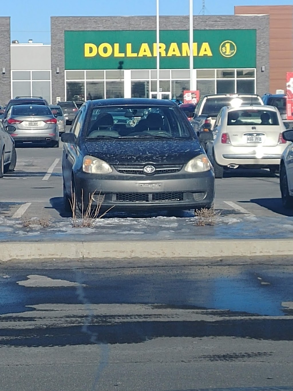 Dollarama | Plaza, 520 Boulevard Cadieux, Beauharnois, QC J6N 2G2, Canada | Phone: (450) 429-1149