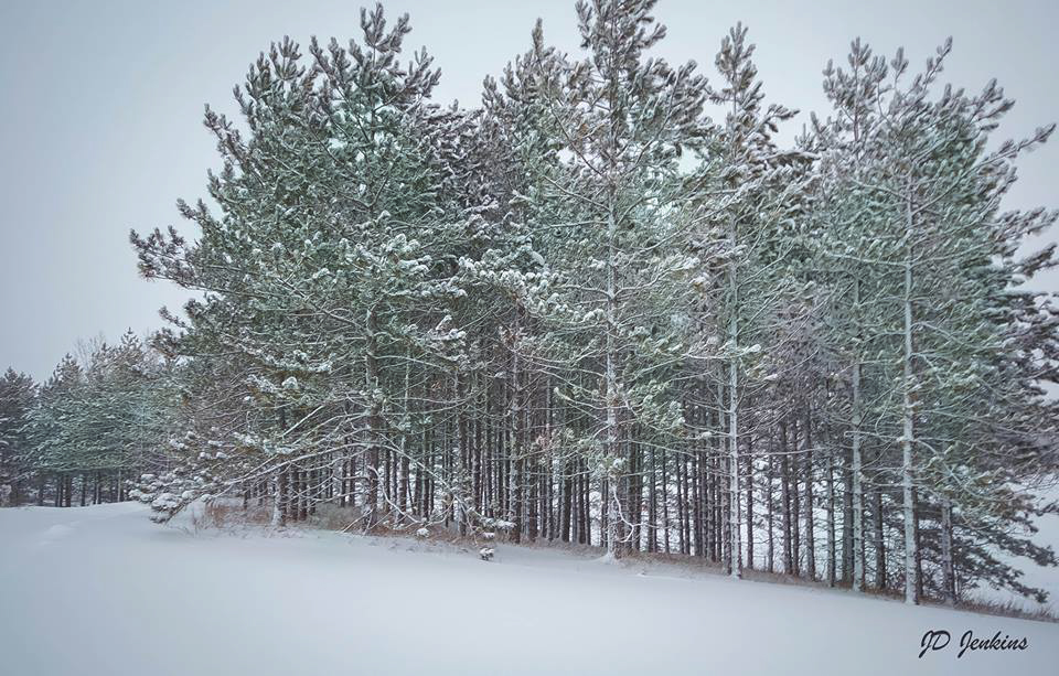 Allan Park Conservation Area | 301820 Concession Rd 2 SDR, Hanover, ON N4N 3B8, Canada | Phone: (519) 367-3040