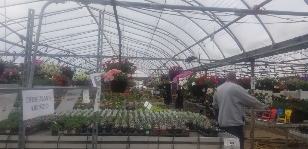 Ever-Green Greenhouses Ltd | Range Rd, 270 39 St, Red Deer, AB T4N 5E8, Canada | Phone: (403) 347-6484