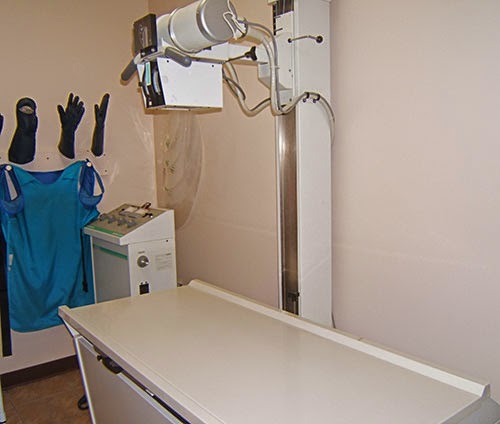 Country Meadows Pet Hospital | 20691 Lougheed Hwy #16, Maple Ridge, BC V2X 2P9, Canada | Phone: (604) 460-1428