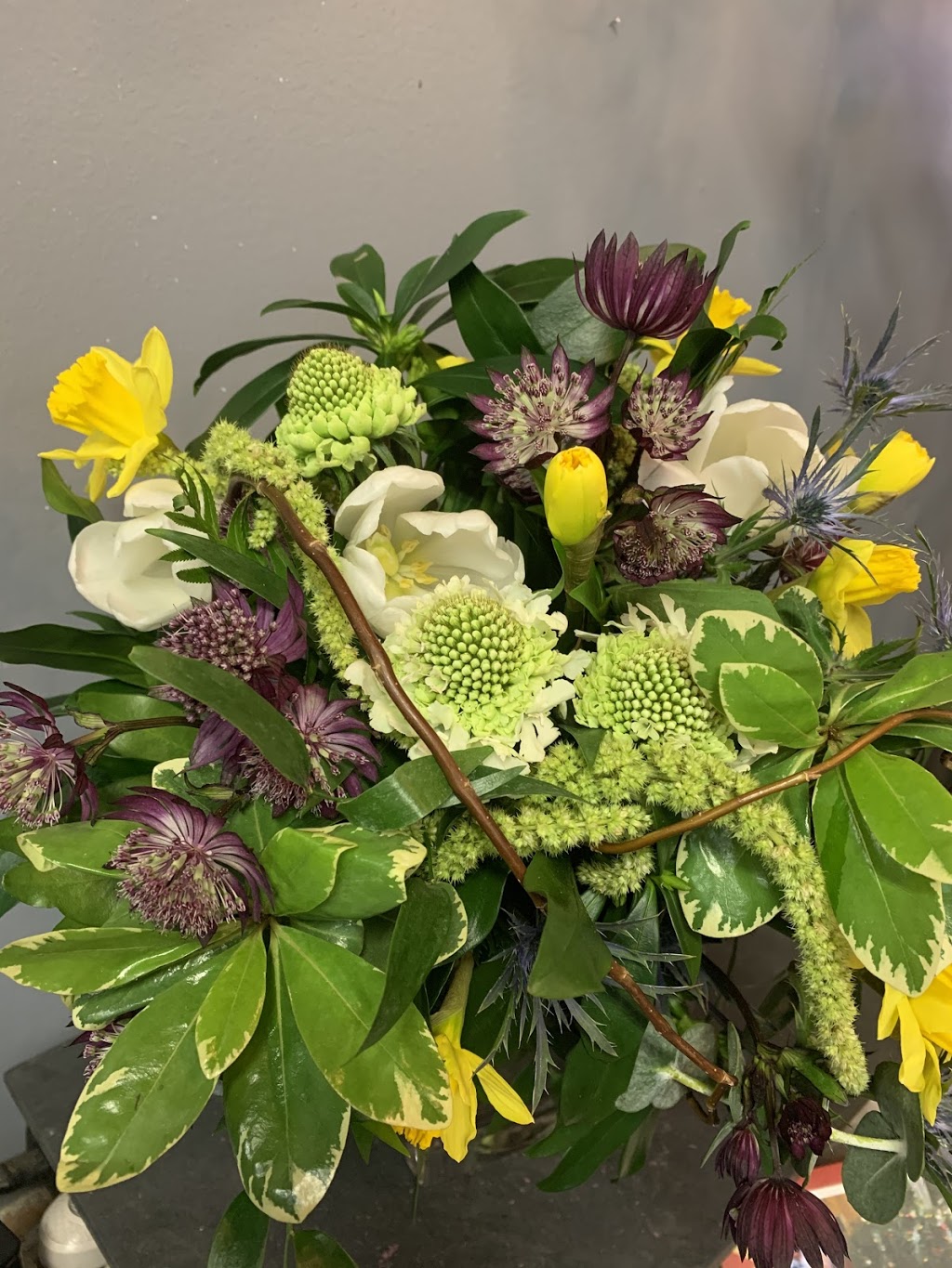 The Bloomerie | 2793 Arbutus St, Vancouver, BC V6J 3Y5, Canada | Phone: (778) 379-7037