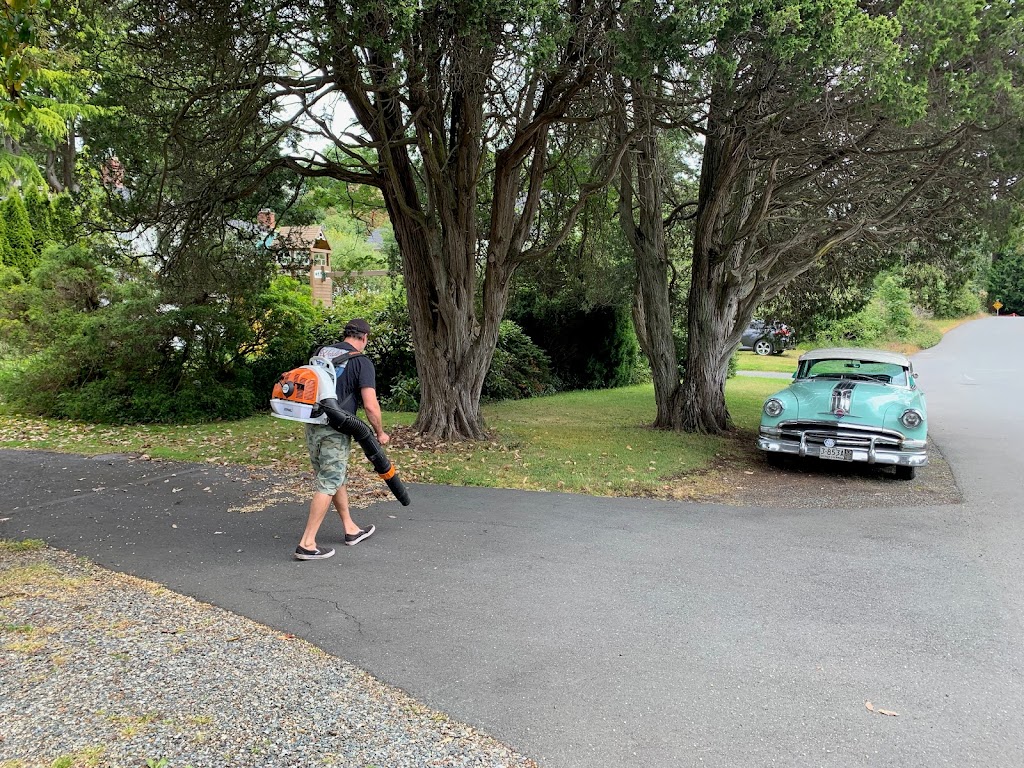 Victoria Custom Lawn Care | 284 Kerwood St, Victoria, BC V9B 1A2, Canada | Phone: (250) 880-2222