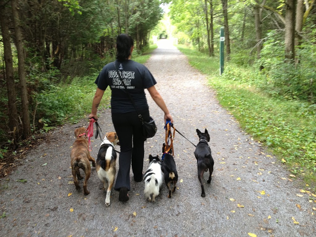 Complete K9 Care | 631 Second Line Rd, Bailieboro, ON K0L 1B0, Canada | Phone: (705) 760-4279