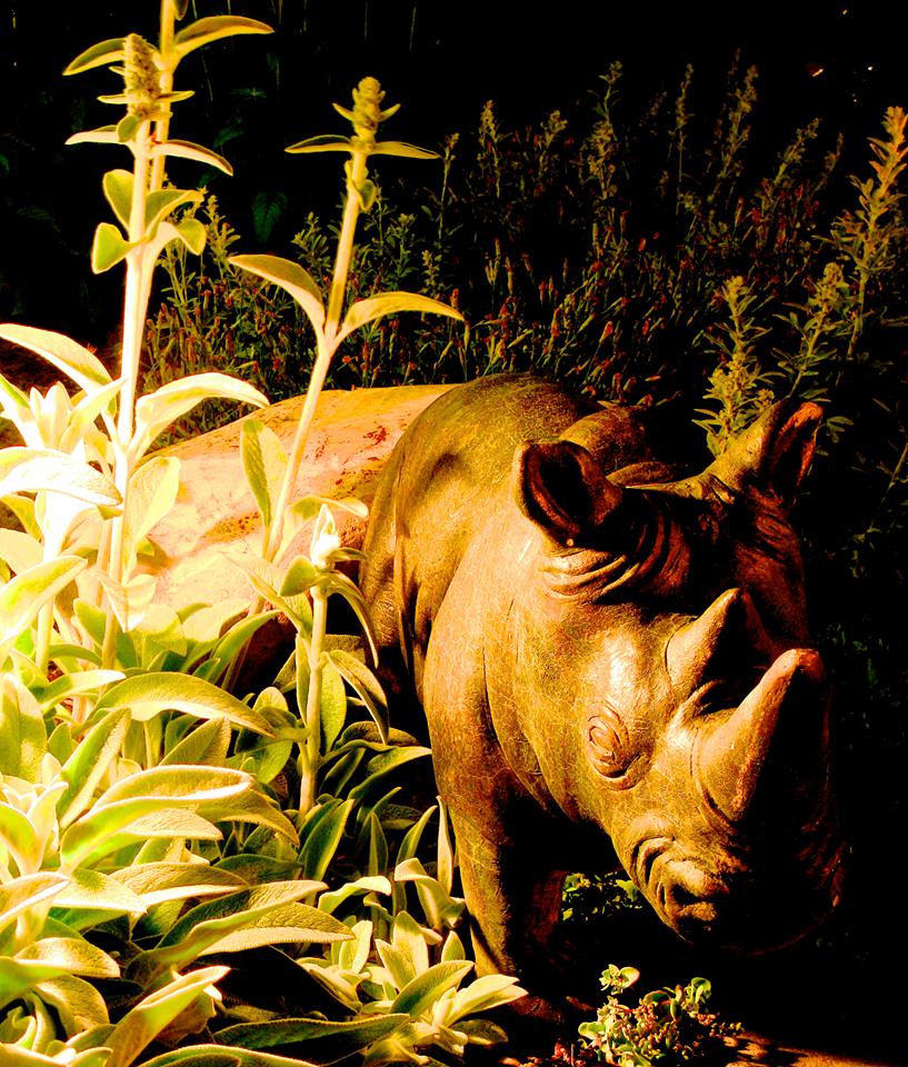 Rhino Designs | 376 Whitevale Rd, Lumby, BC V0E 2G7, Canada | Phone: (250) 307-8938